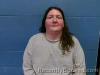 Mugshot of AMANDA S VAUGHN booked in Poinsett County, Arkansas on April 29, 2026