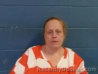 Mugshot of JENNIE L OWENS booked in Poinsett County, Arkansas on May 15, 2026