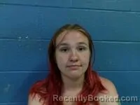 Mugshot of MICHELLE L MELTON booked in Poinsett County, Arkansas on April 29, 2026