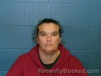 Mugshot of STACY A NISWONGER