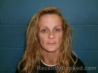 Mugshot of JENNIFER D TOLEWIZKE booked in Poinsett County, Arkansas on July 13, 2026