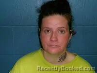 Mugshot of DANIELLE R LYONS booked in Poinsett County, Arkansas on July 17, 2026