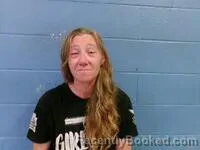 Mugshot of Brandy N Lykins booked in Poinsett County, Arkansas on August 30, 2026