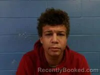 Mugshot of Jordon N Young booked in Poinsett County, Arkansas on October 4, 2026