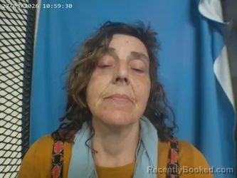 Mugshot of MELISSA HARTIN booked in Polk County, Arkansas on March 27, 2026