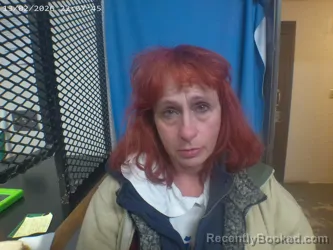 Mugshot of VICKI S RAMIREZ