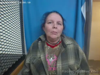 Mugshot of DEBORAH M ERVIN booked in Polk County, Arkansas on March 17, 2026