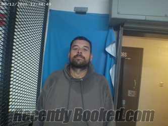 Booking photo from Polk County, Arkansas