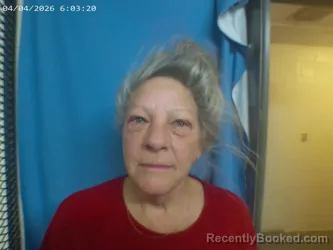 Mugshot of KAREN D DAVIS booked in Polk County, Arkansas on April 3, 2026