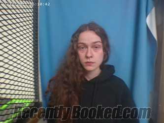 Booking photo from Polk County, Arkansas