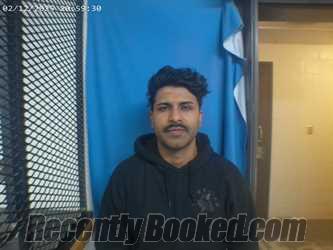 Booking photo from Polk County, Arkansas