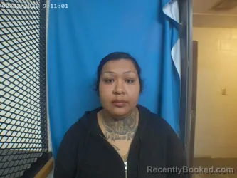 Mugshot of ANGELYN B PALACIOS