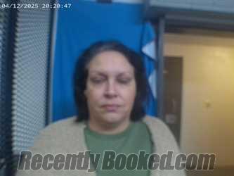 Booking photo from Polk County, Arkansas