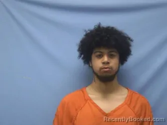 Mugshot of TRESTON BROWN