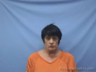 Mugshot of JANET LOUISE WILLIAMS