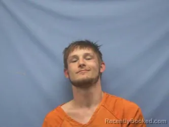 Mugshot of TOMMY LYNN MCHAM