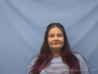 Mugshot of HEATHER LARAE TILLEY