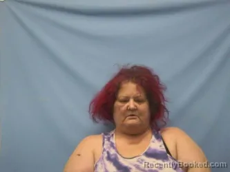 Mugshot of AMBER DAWN COLLINS