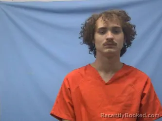 Mugshot of REESE DAVID CHANDLER BROWN