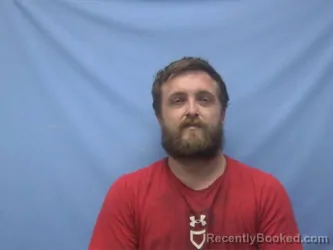 Mugshot of STEVEN LEE MCDANIEL