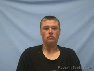 Mugshot of ROBERTA CHRISTINA LOVE