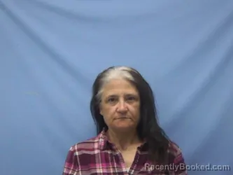 Mugshot of SHERRI LYNNE CHRONISTER