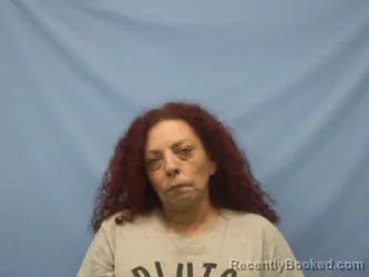 Mugshot of MARIA LEE LEE booked in Pope County, Arkansas on May 10, 2026