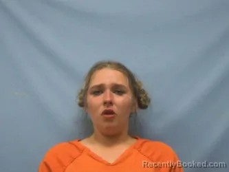 Mugshot of TIFFANY ANN NEAL booked in Pope County, Arkansas on June 11, 2026