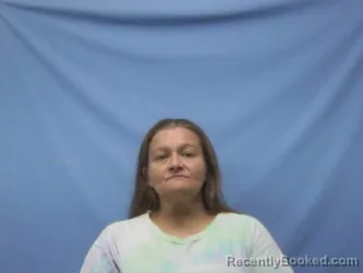 Mugshot of TINA JEAN LEE booked in Pope County, Arkansas on July 10, 2026