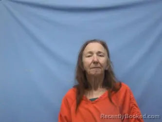 Mugshot of VIRGINIA ANN FRINK booked in Pope County, Arkansas on July 12, 2026