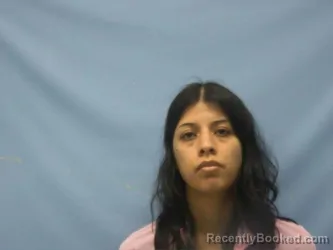 Mugshot of TERESA E TINOCO-CORTEZ booked in Pope County, Arkansas on July 14, 2026