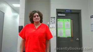 Mugshot of Misty Lee Crook