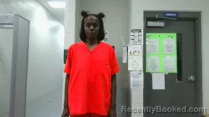 Mugshot of Natasha Renee Lee booked in Prairie County, Arkansas on June 13, 2026