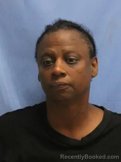 Mugshot of Shindid Anne Braddock booked in Pulaski County, Arkansas on October 12, 2026