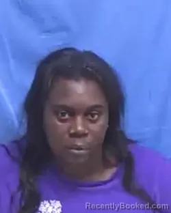 Mugshot of Stephanie Danielle Wallace booked in Pulaski County, Arkansas on October 12, 2026