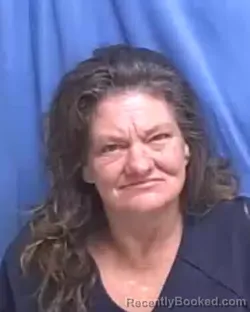 Mugshot of Patricia Sue Fite booked in Pulaski County, Arkansas on October 18, 2026