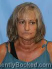Mugshot of Audra Lee Hall booked in Pulaski County, Arkansas on July 27, 2026