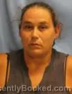Mugshot of Christine Diane Hayes booked in Pulaski County, Arkansas on August 8, 2026