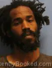 Mugshot of DONALD BROWN booked in Pulaski County, Arkansas on June 30, 2026
