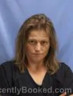 Mugshot of ELIZABETH NICOLE WILLIS booked in Pulaski County, Arkansas on June 9, 2026