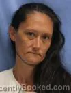 Mugshot of Heidi Anne Deahl booked in Pulaski County, Arkansas on August 2, 2026