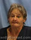 Mugshot of HOPE PAINE booked in Pulaski County, Arkansas on June 16, 2026