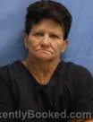 Mugshot of JANET GALE HUDSON booked in Pulaski County, Arkansas on June 26, 2026