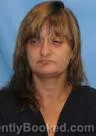Mugshot of Kimberly Dawn Webster booked in Pulaski County, Arkansas on July 25, 2026