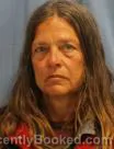 Mugshot of LINDA WYNELL SMITH booked in Pulaski County, Arkansas on April 18, 2026