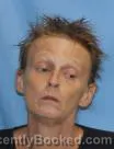 Mugshot of Michelle Scheibner booked in Pulaski County, Arkansas on July 27, 2026