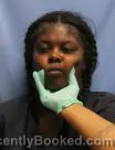 Mugshot of NICOLE YVETTE TURNER booked in Pulaski County, Arkansas on July 1, 2026