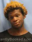 Mugshot of Nakita Dpatrick Williams booked in Pulaski County, Arkansas on August 17, 2026
