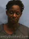 Mugshot of SHANNON Y BAKER booked in Pulaski County, Arkansas on June 29, 2026