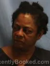 Mugshot of STEPHANIE WELLS booked in Pulaski County, Arkansas on July 2, 2026
